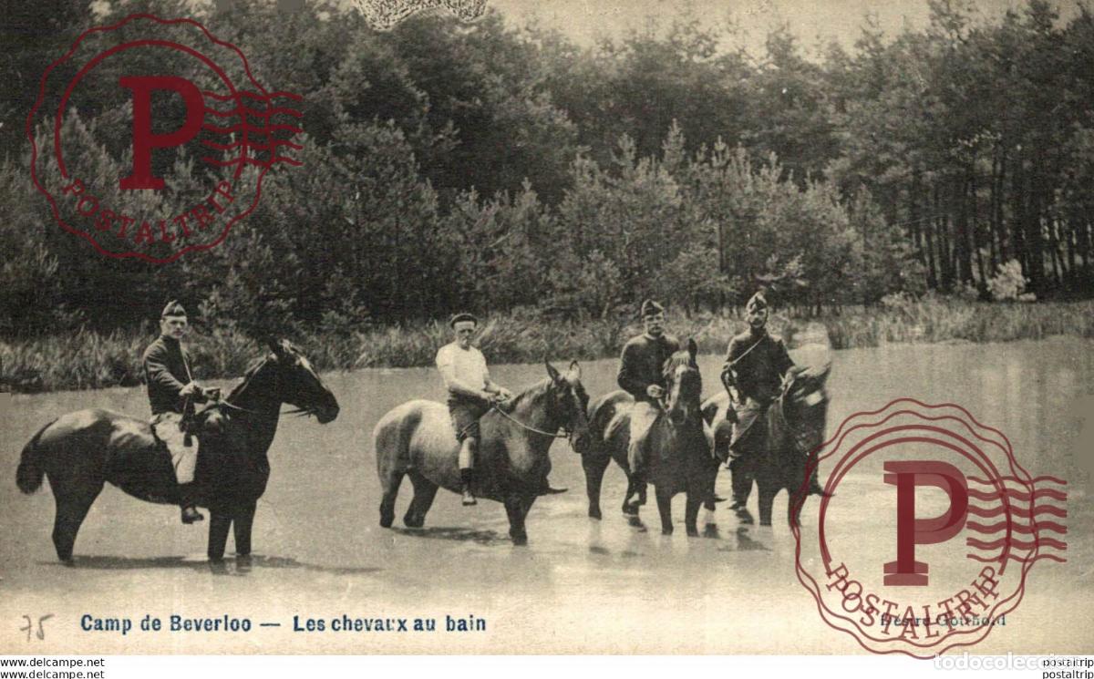 Postales: LES CHEVAUX AU BAIN. Camp de BEVERLOO KAMP LEOPOLDSBURG BOURG LEOPOLD WWICOLLECTIO