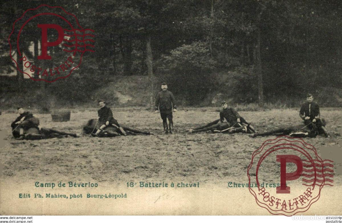 Postales: 18&ordm; BATTERIE &Agrave; CHEVAL. Camp de BEVERLOO KAMP LEOPOLDSBURG BOURG LEOPOLD WWICOLLECTIO