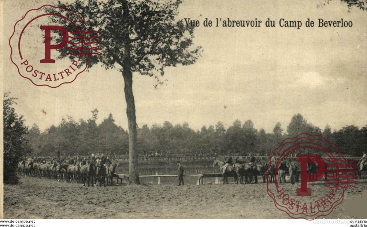 Postales: VUE DE LABREUVOIR DU CAMP DE BEVERLOO. Camp de BEVERLOO KAMP LEOPOLDSBURG BOURG LEOPOLD WWICOLLECTI