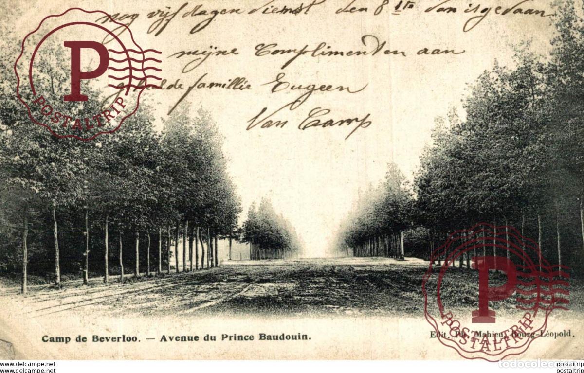 Postales: AVENUE DU PRINCE BAUDOUIN. Camp de BEVERLOO KAMP LEOPOLDSBURG BOURG LEOPOLD WWICOLLECTIO