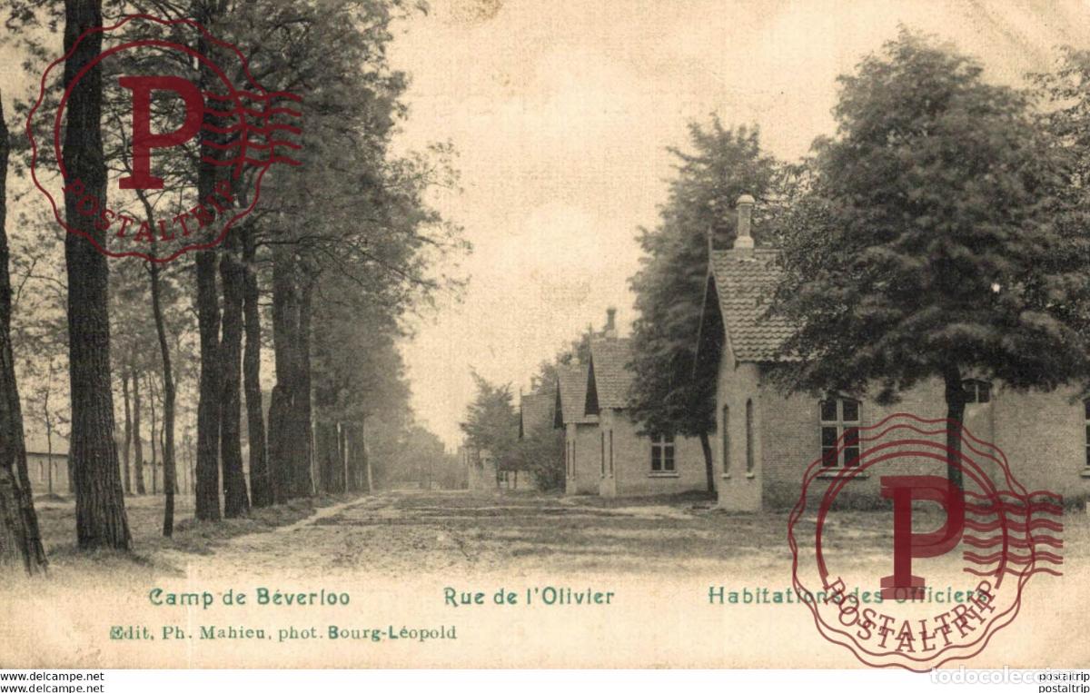 Postcards: RUE DE LOLIVIER. Camp de BEVERLOO KAMP LEOPOLDSBURG BOURG LEOPOLD WWICOLLECTIO