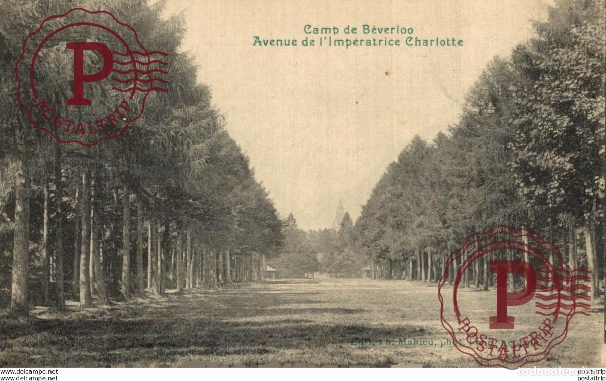 Cartes Postales: AVENUE DE LIMP&Eacute;RATRICE CHARLOTTE. Camp de BEVERLOO KAMP LEOPOLDSBURG BOURG LEOPOLD WWICOLLECTIO