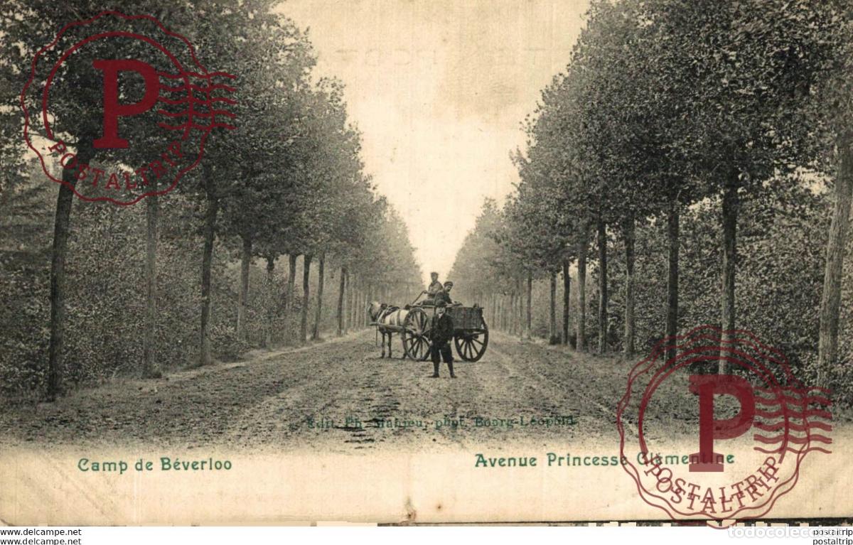 Postales: AVENUE PRINCESSE CL&Eacute;MENTINE. Camp de BEVERLOO KAMP LEOPOLDSBURG BOURG LEOPOLD WWICOLLECTIO