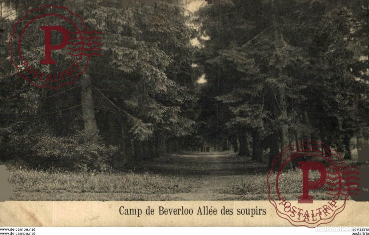 Postales: ALL&Eacute;E DES SOUPIRS. Camp de BEVERLOO KAMP LEOPOLDSBURG BOURG LEOPOLD WWICOLLECTIO