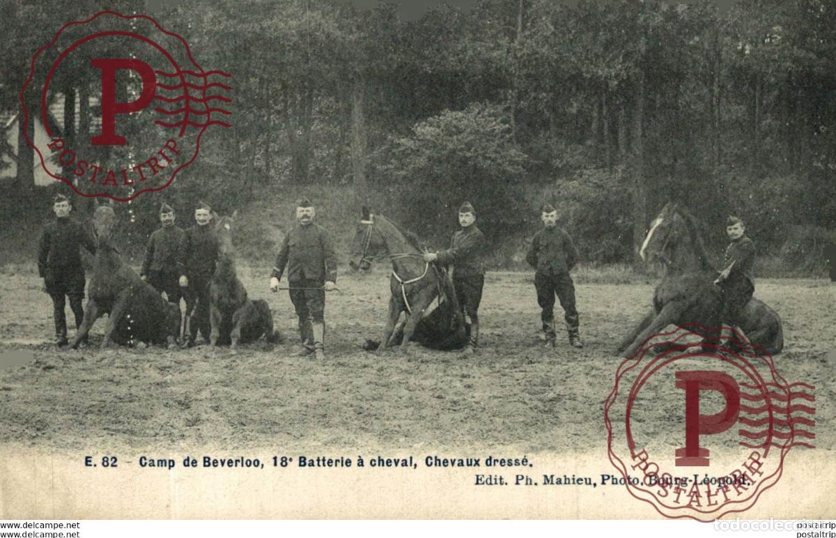 Postales: 18&ordm; BATTERIE &Agrave; CHEVAL. Camp de BEVERLOO KAMP LEOPOLDSBURG BOURG LEOPOLD WWICOLLECTIO