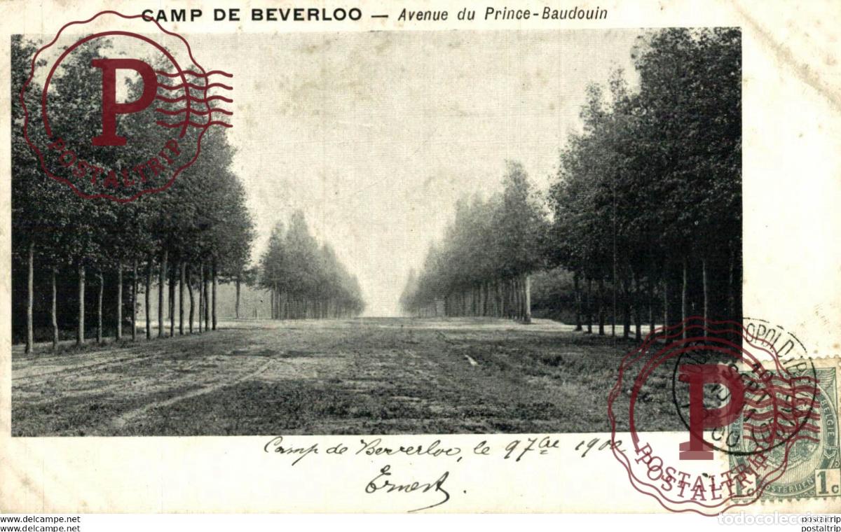 Postcards: AVENUE DU PRINCE BAUDOUIN. Camp de BEVERLOO KAMP LEOPOLDSBURG BOURG LEOPOLD WWICOLLECTIO