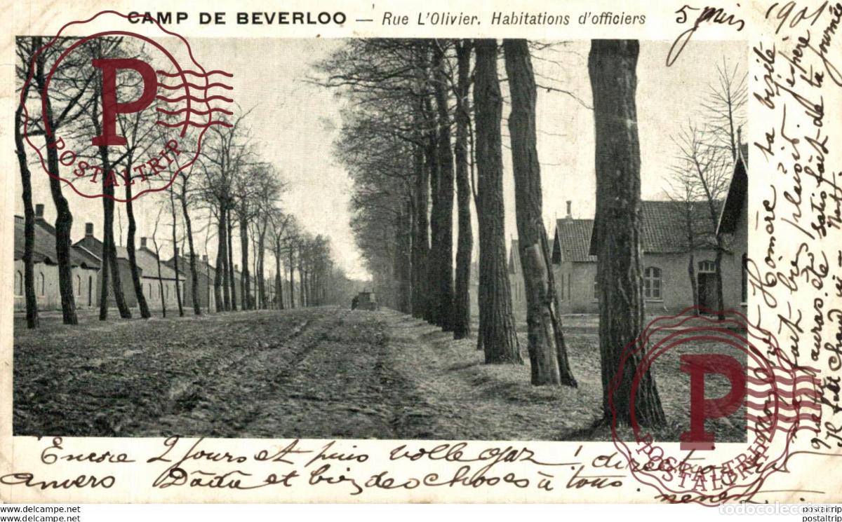 Postcards: RUE LOLIVIER. HABITATIONS DOFFICIERS. Camp de BEVERLOO KAMP LEOPOLDSBURG BOURG LEOPOLD WWICOLLECTI