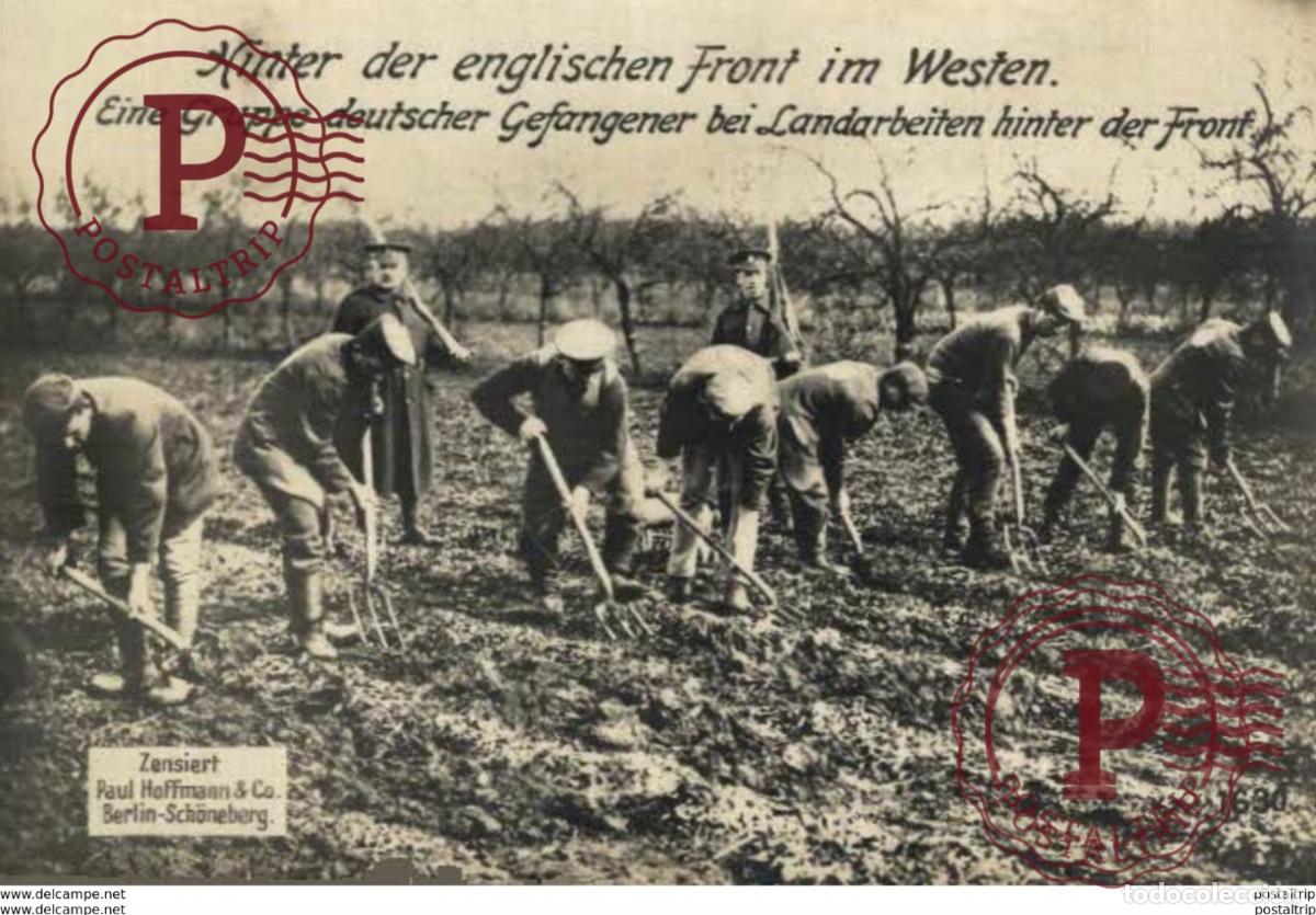 Postales: RPPC CARTE PHOTO 17*12cm. Hinter der englischen front im Westen. Paul Hoffmann 191415 WWI WWICOLLE