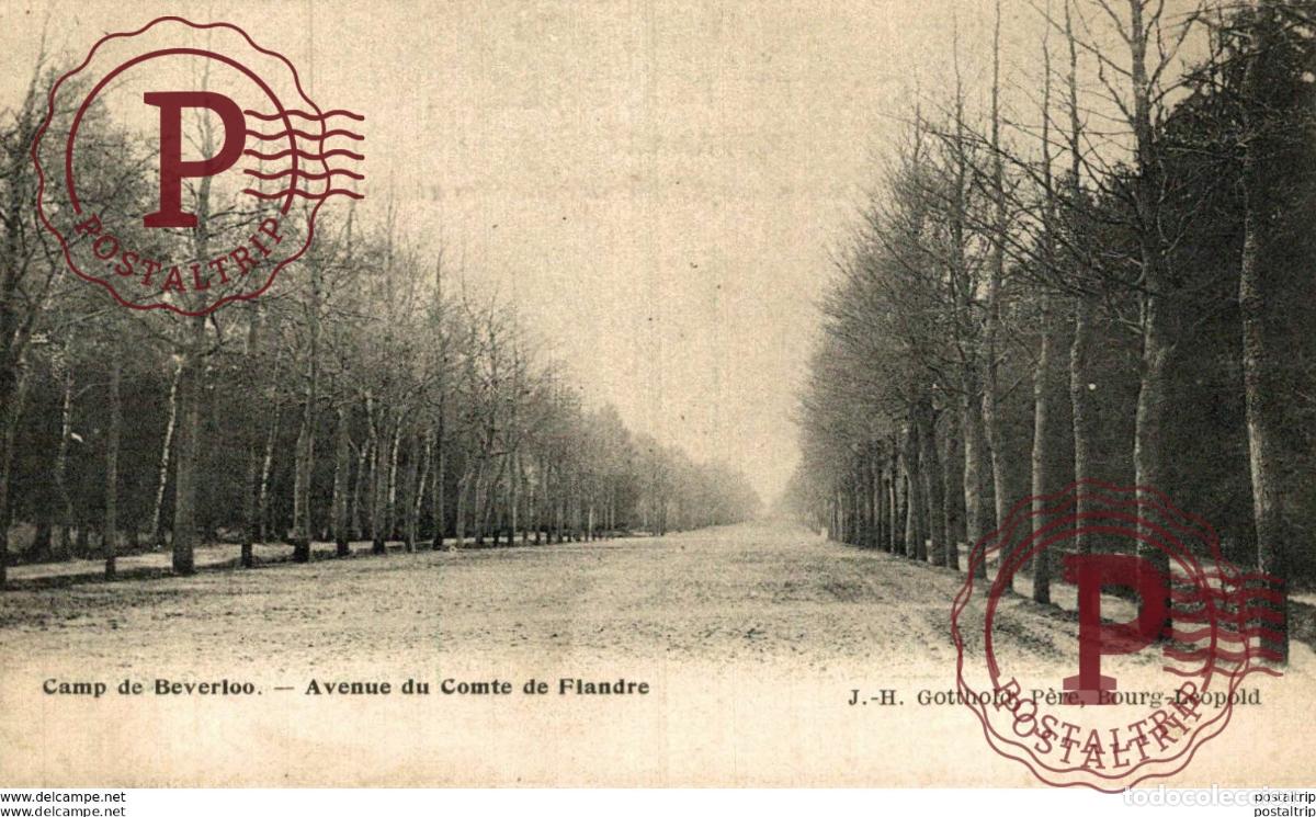 Postales: AVENUE DU COMTE DE FLANDRE - Camp de BEVERLOO KAMP LEOPOLDSBURG BOURG LEOPOLD WWICOLLECTION