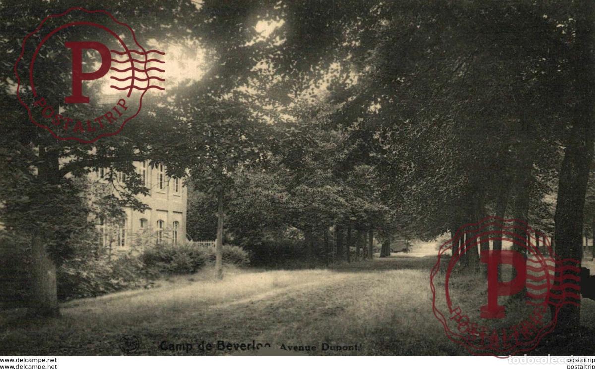 Postales: AVENUE DUPONT- Camp de BEVERLOO KAMP LEOPOLDSBURG BOURG LEOPOLD WWICOLLECTION