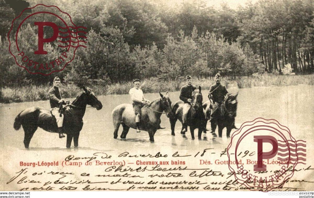 Postales: CHEVAUX AUX BAINS. CAMP DE BEVERLOO KAMP LEOPOLDSBURG BOURG LEOPOLD WWICOLLECTION