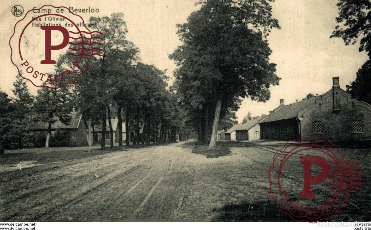 Postkarten: RUE LOLIVIER. CAMP DE BEVERLOO KAMP LEOPOLDSBURG BOURG LEOPOLD WWICOLLECTION