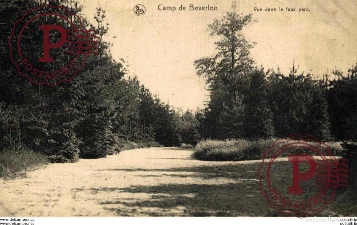 Postkarten: VUE DANS LE FAUX PARC. CAMP DE BEVERLOO KAMP LEOPOLDSBURG BOURG LEOPOLD WWICOLLECTION