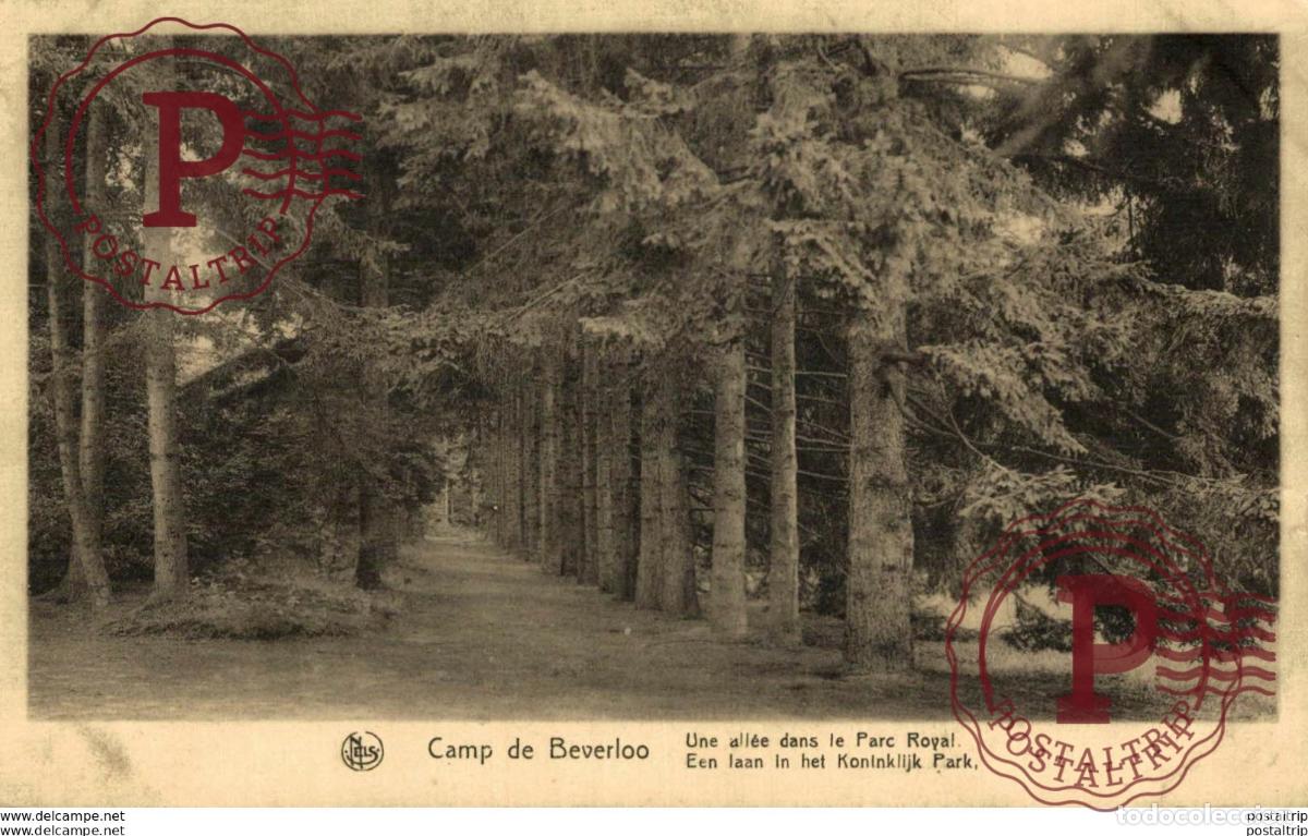 Postais: UNE ALL&Eacute;E DANS LE PARC ROYAL. CAMP DE BEVERLOO KAMP LEOPOLDSBURG BOURG LEOPOLD WWICOLLECTION