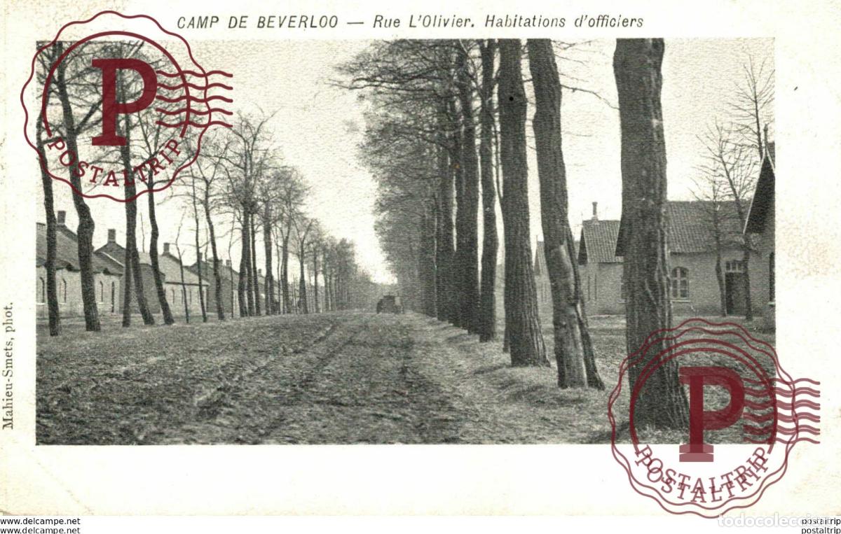 Postales: RUE LOLIVIER. HABITATIONS DOFFICIERS. CAMP DE BEVERLOO KAMP LEOPOLDSBURG BOURG LEOPOLD WWICOLLECTI