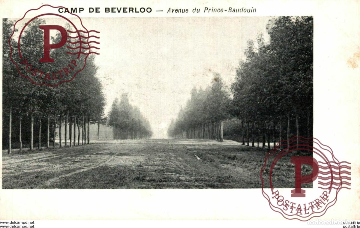 Postales: AVENUE DU PRINCE-BAUDOUIN. CAMP DE BEVERLOO KAMP LEOPOLDSBURG BOURG LEOPOLD WWICOLLECTION
