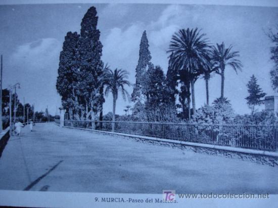 Postales: PASEO DEL MALECON,MURCIA - Foto 1