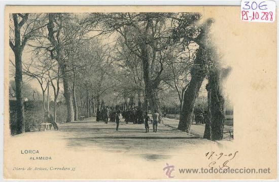 Postales: (PS-10288)POSTAL DE LORCA(MURCIA)-ALAMEDA - Foto 1