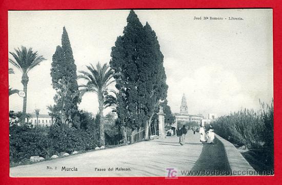 Postales: MURCIA, PASEO DEL MALECON,      P40781 - Foto 1