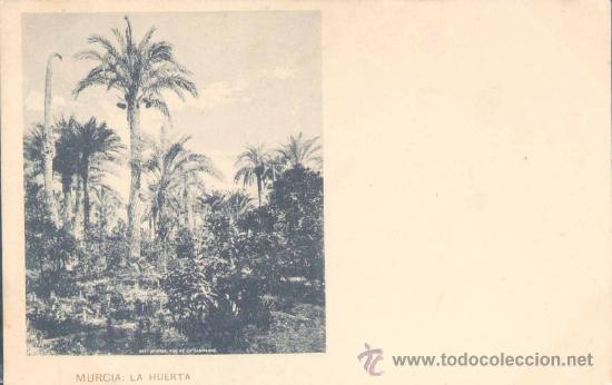 Postales: MURCIA.-LA HUERTA - Foto 1