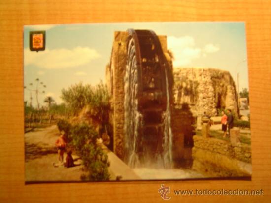 Postales: POSTAL MURCIA RUEDA DE LA NORA  SIN CIRCULAR - Foto 1