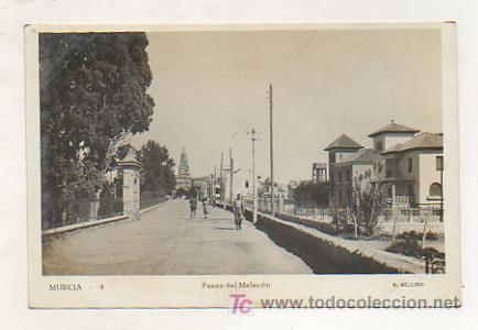 Postales: MURCIA. PASEO DEL MALEC&Oacute;N. (A. BELLIDO) - Foto 1