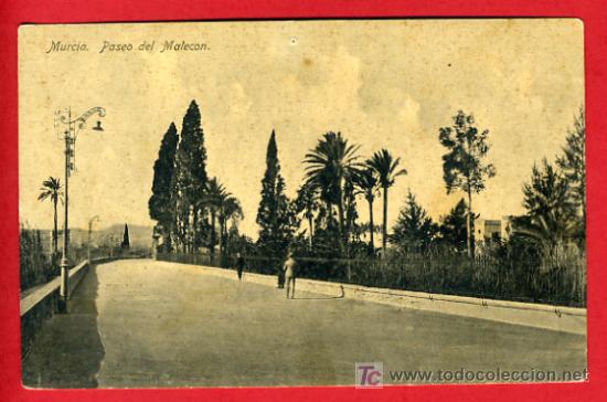 Postales: MURCIA, PASEO DEL MALECON,   P37380 - Foto 1