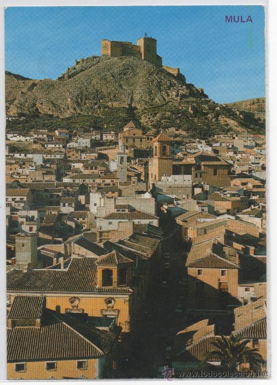 Postales: TARJETA POSTAL DE MULA MURCIA - Foto 1