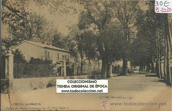 Postales: (PS-20301)POSTAL DE LORCA-ALAMEDAS - Foto 1