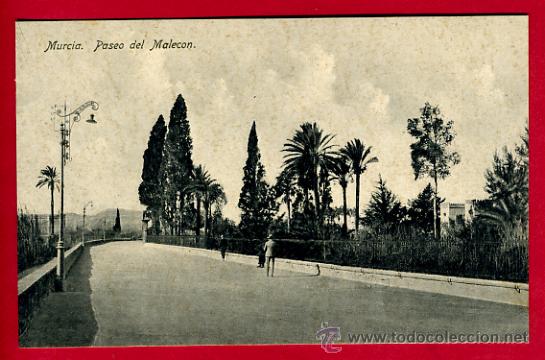 Postales: MURCIA, PASEO DEL MALECON,      P62206 - Foto 1