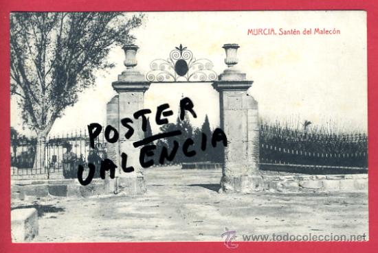 Postales: MURCIA, SANTEN DEL MALECON,      P62221 - Foto 1