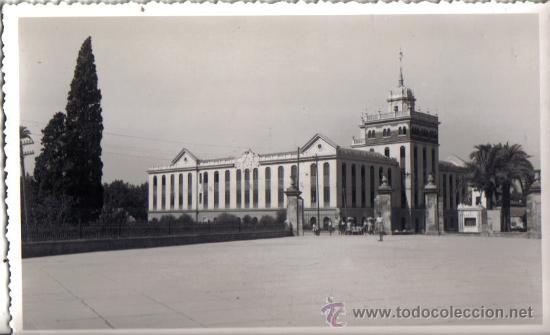Postales: POSTAL DE MURCIA, PASEO DEL MALECON - Foto 1