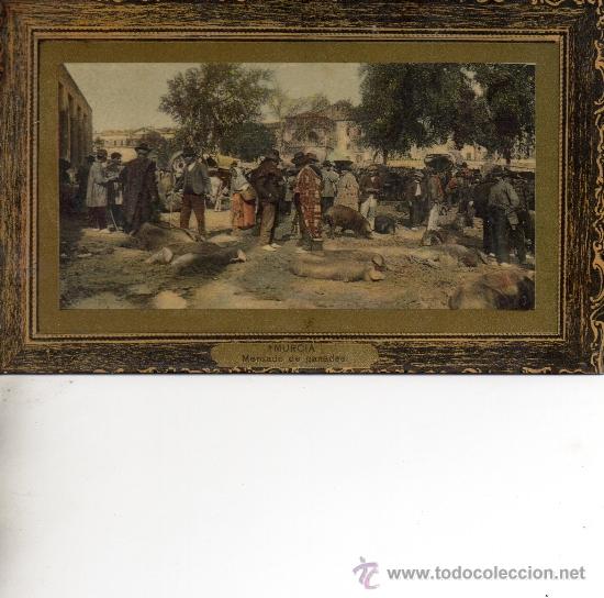 Postales: murcia. 209. suc. de nogu&eacute;s - Foto 1
