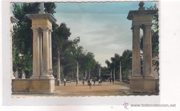 Postales: POSTAL DE LORCA - ENTRADA ALAMEDA . - Foto 1
