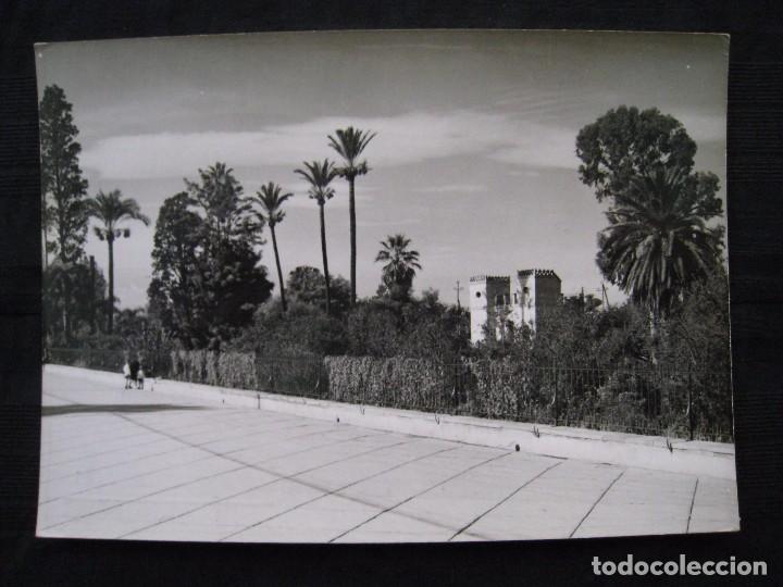 Postales: POSTAL MURCIA - PASEO EL MALECON. - Foto 1