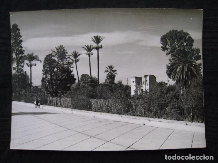Postales: POSTAL MURCIA - PASEO EL MALECON. - Foto 2