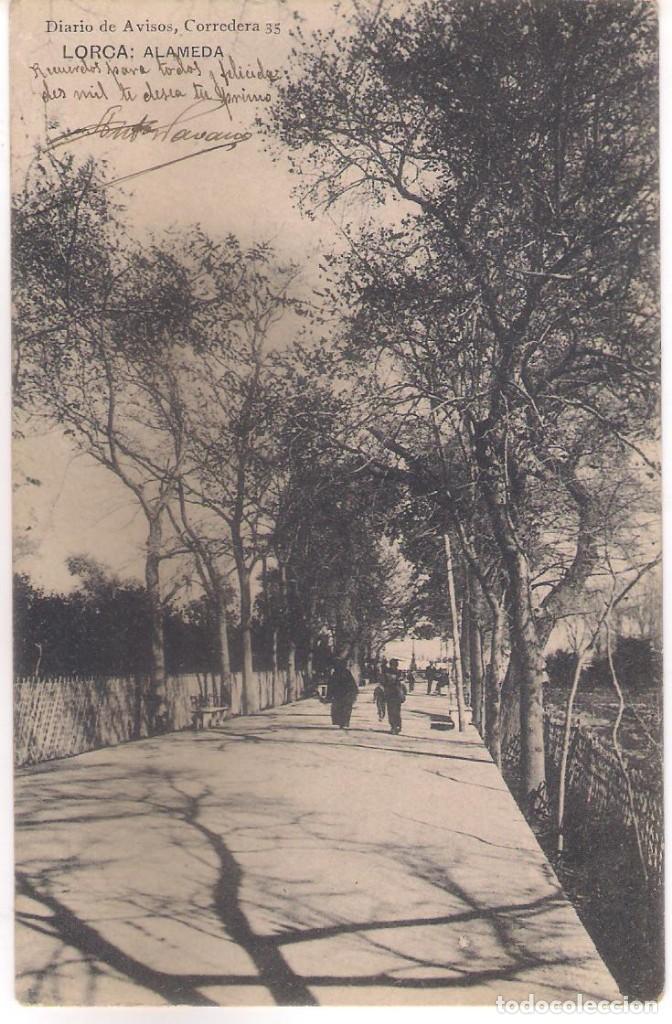 Postales: POSTAL DE LORCA - ALAMEDA . - Foto 1