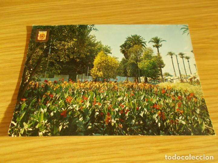 Postales: MURCIA -- JARDIN BOTANICO - Foto 1