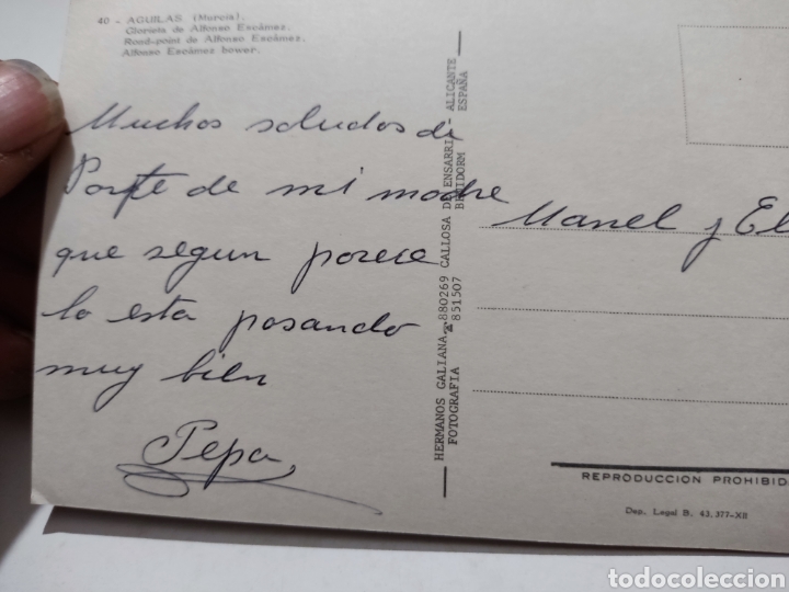 Postales: Postal &Aacute;guilas - Foto 2