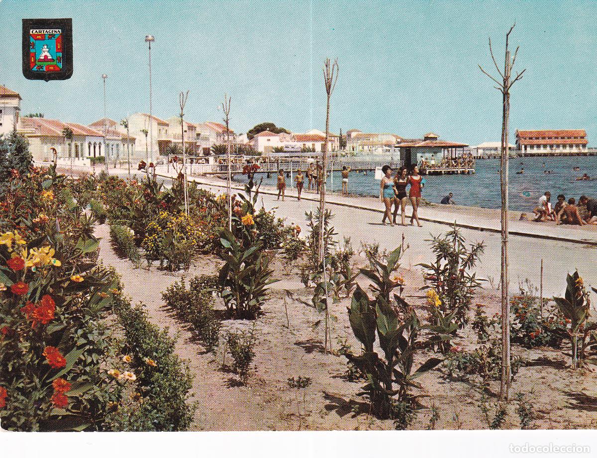 Postales: LOS ALCAZARES - Foto 1