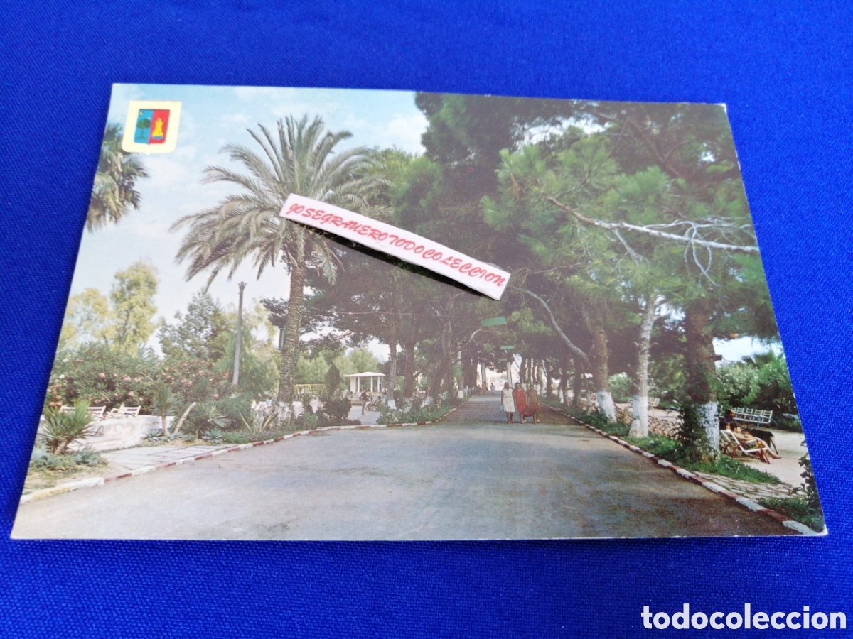 Postales: MURCIA SAN PEDRO DEL PINATAR - Foto 1