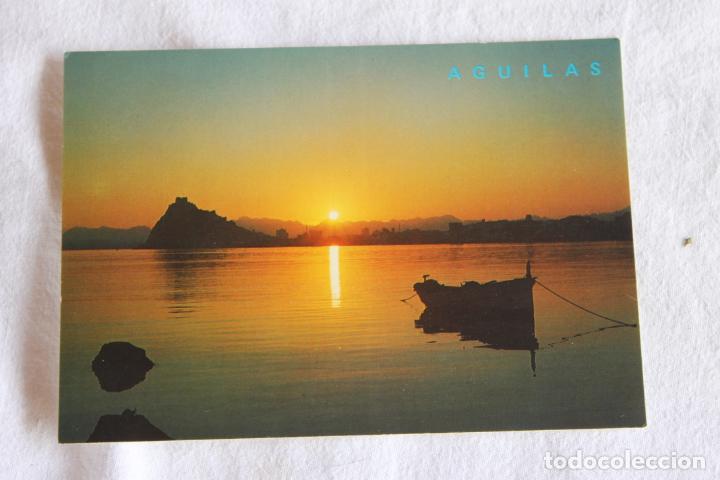 Postales: POSTAL AGUILAS ATARDECER - Foto 1