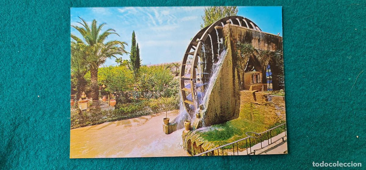 Postales: POSTAL MURCIA - RUEDA NORIA - Foto 1