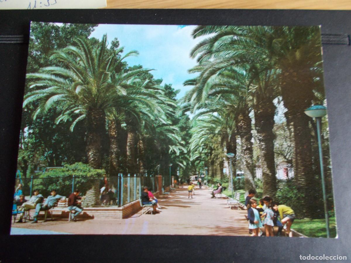 Postales: MURCIA-- JARDINES DE FLORIDABLANCA - Foto 1