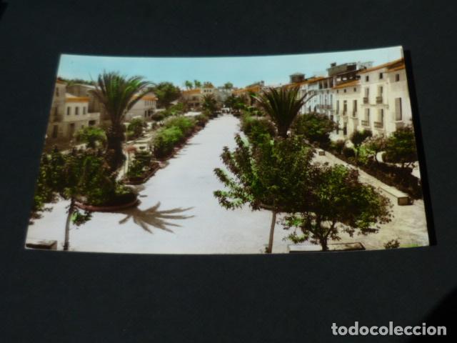 Postales: MULA MURCIA GLORIETA - Foto 1