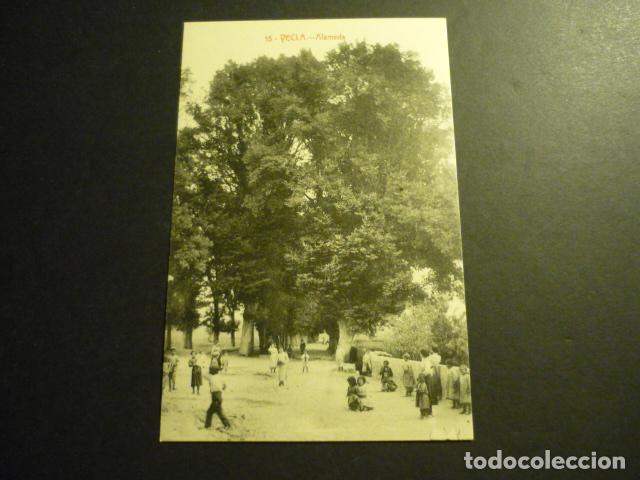 Postales: YECLA MURCIA ALAMEDA - Foto 1