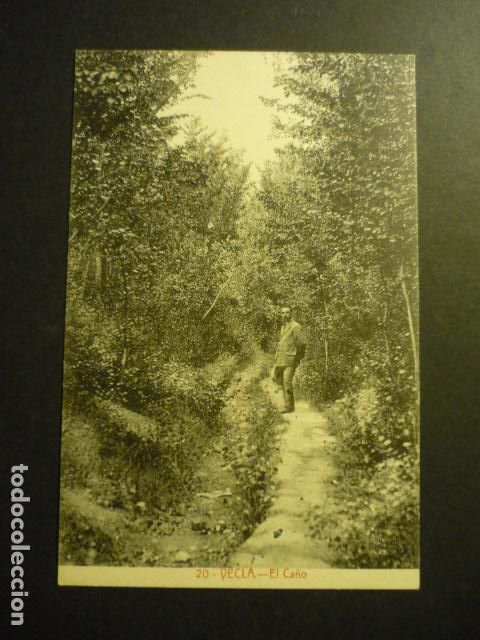 Postales: YECLA MURCIA EL CA&Ntilde;O - Foto 1