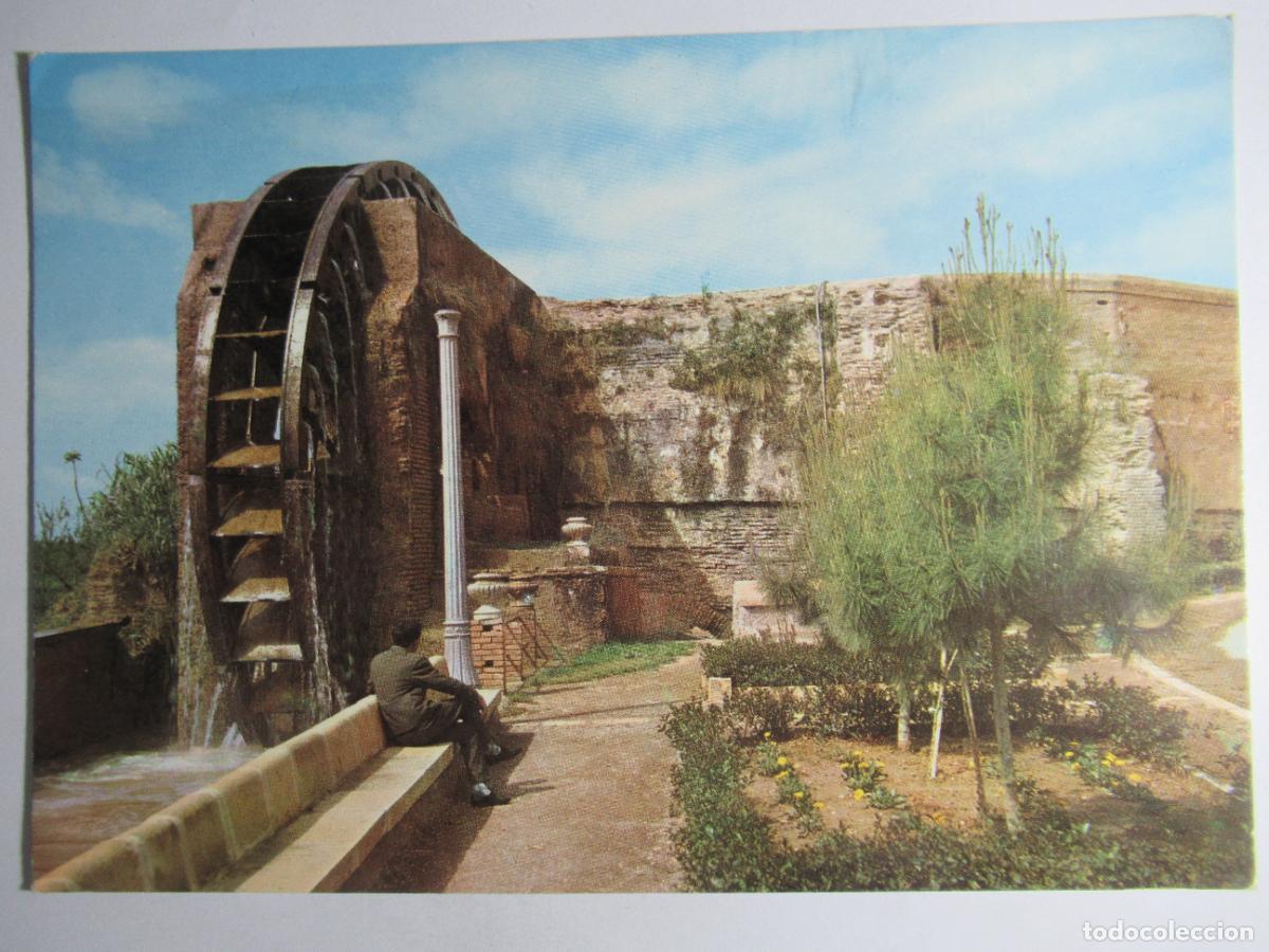 Postales: Murcia - Rueda de la &Ntilde;ora - Foto 1