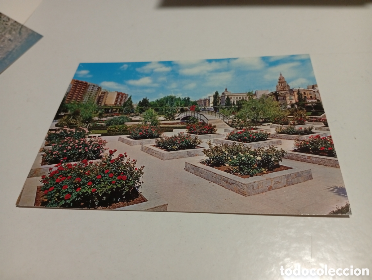 Postales: Postal Murcia rosaleda.... - Foto 1