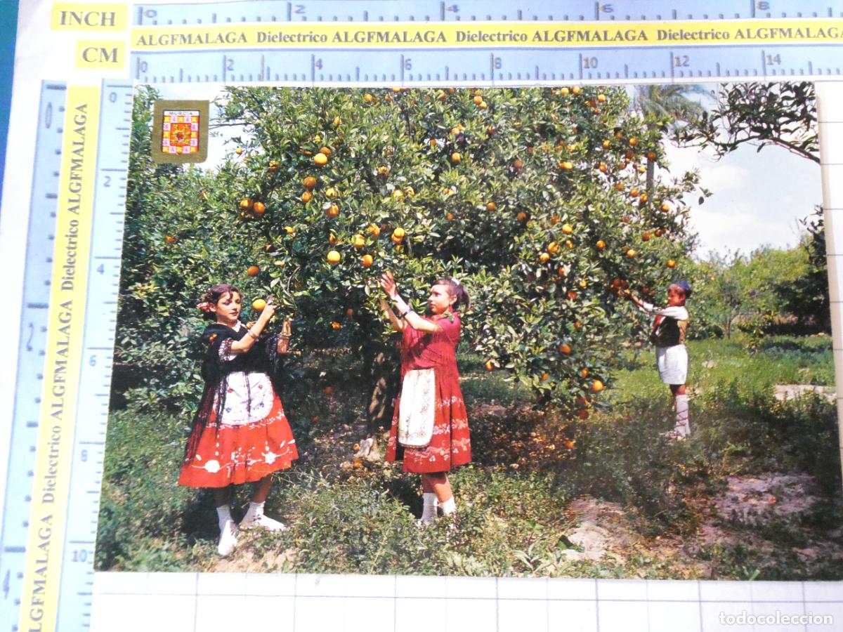Postales: POSTAL DE MURCIA. A&Ntilde;O 1964. HUERTANAS Y NARANJOS NI&Ntilde;AS MUJERES 34 SUBIRATS. 1621